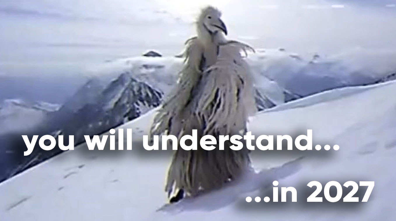 2027 Meme