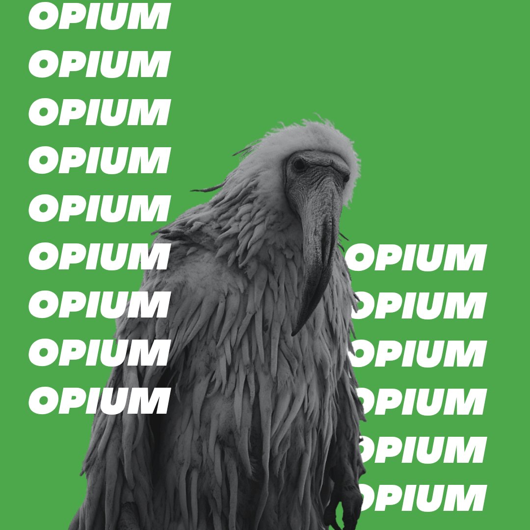 Opium Bird
